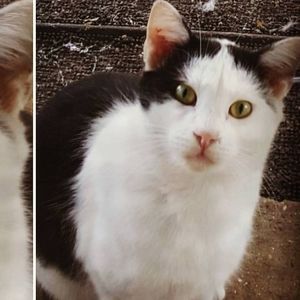 Meet your Posher, Margaret